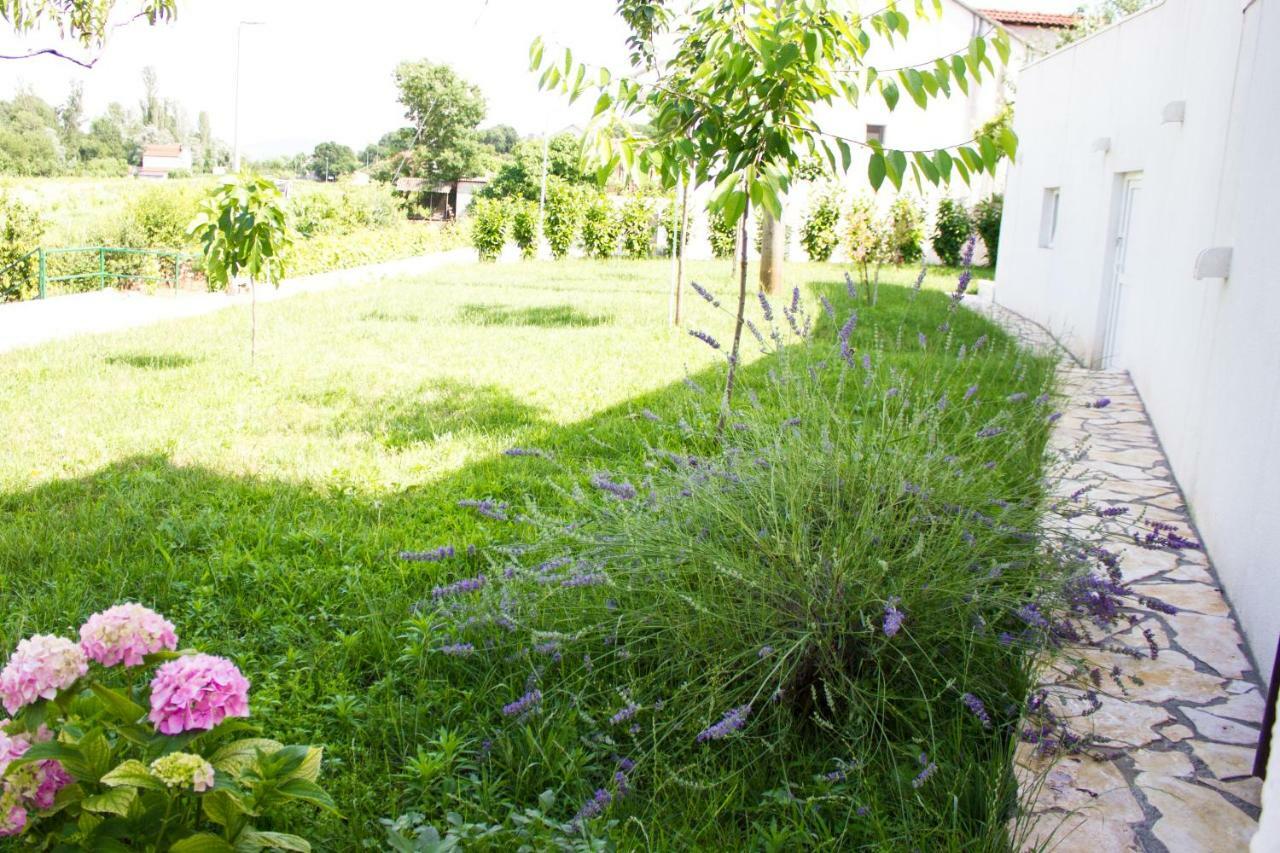 Villa Fig Zmijavci Extérieur photo